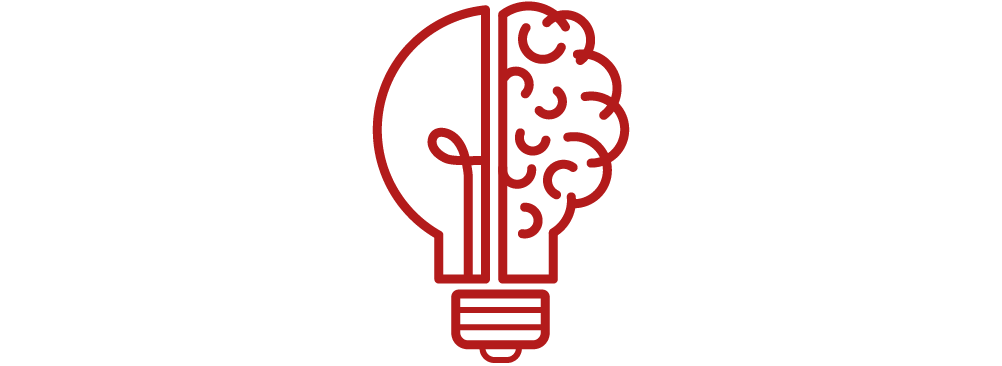 Image of half brain, half light bulb icon.