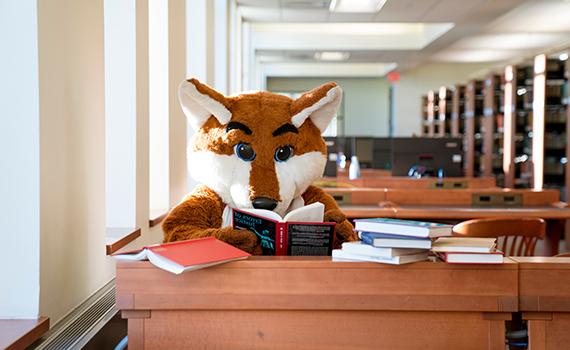 An image of Frankie the Fox in the library 